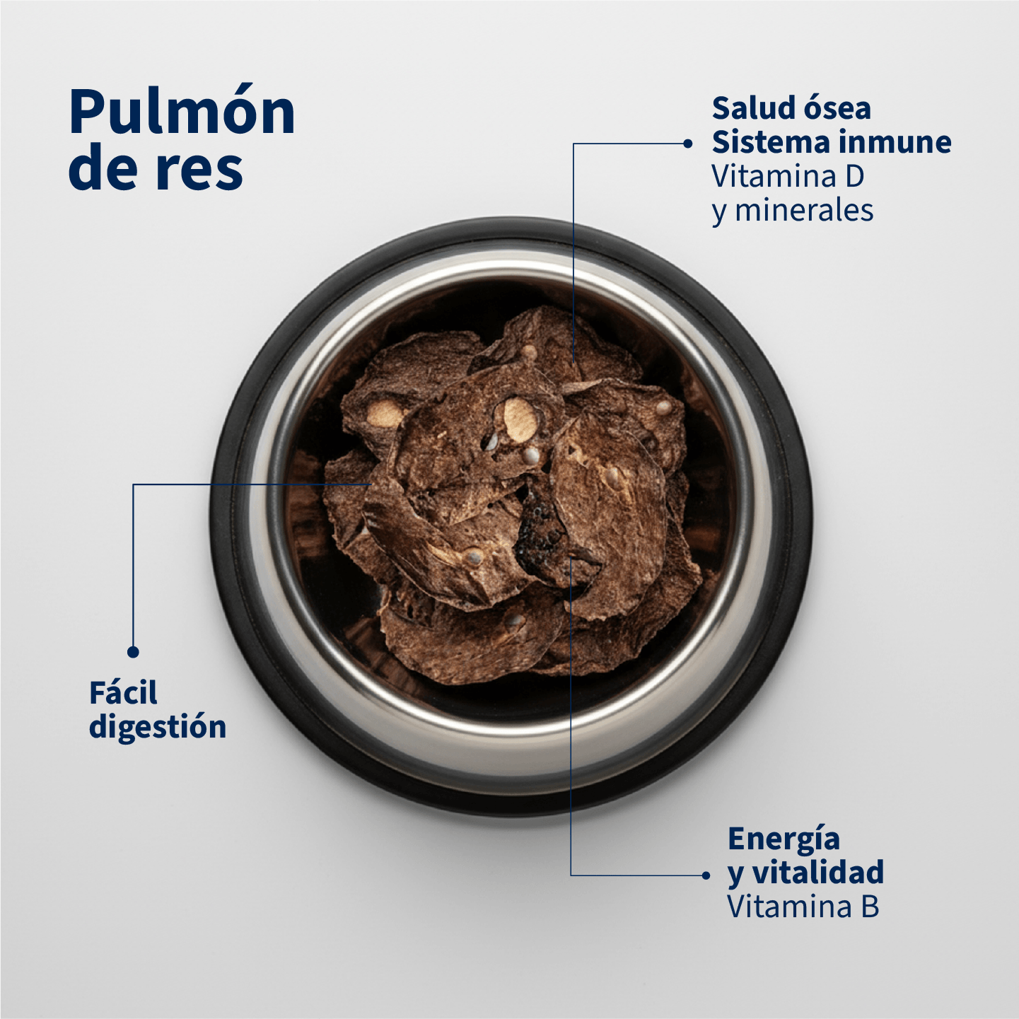 Pulmón de Res