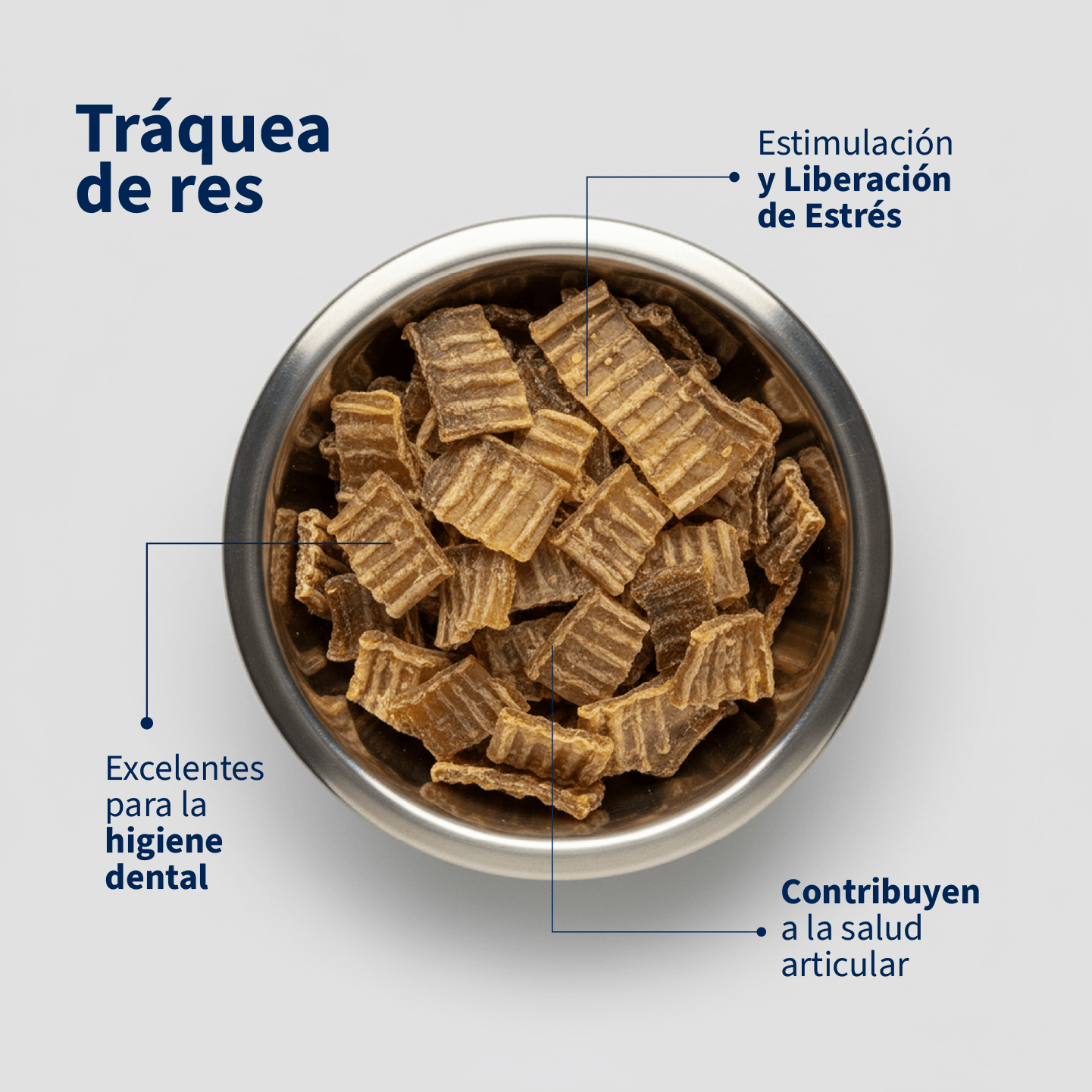 Traquea de Res